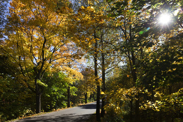 Colorful autumn sunny Landscape from the central Bohemia, Czech Republic