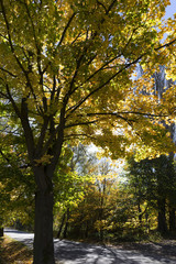 Colorful autumn sunny Landscape from the central Bohemia, Czech Republic