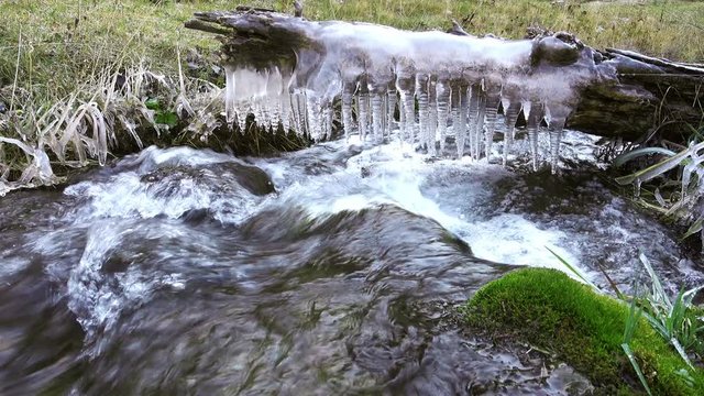 Frozen stream with ice. Autumn river and icicle. Cold water flows under icicle.