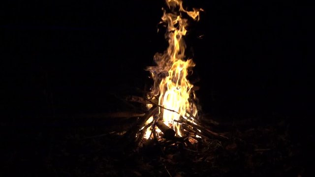 Campfire at night, burning fire bonfire 8x slow motion
