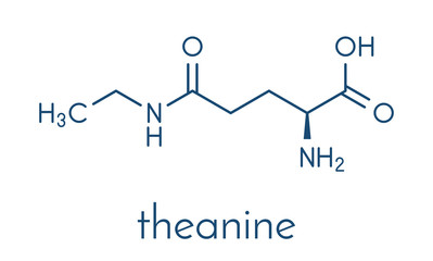 Theanine herbal molecule. Constituent of tea prepared from Camellia sinensis. Also taken as nutritional supplement. Skeletal formula.