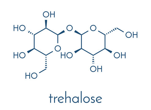 Trehalose (mycose, tremalose) sugar molecule. Skeletal formula.