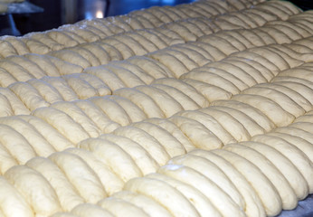 Baked Breads on the production line at the bakery