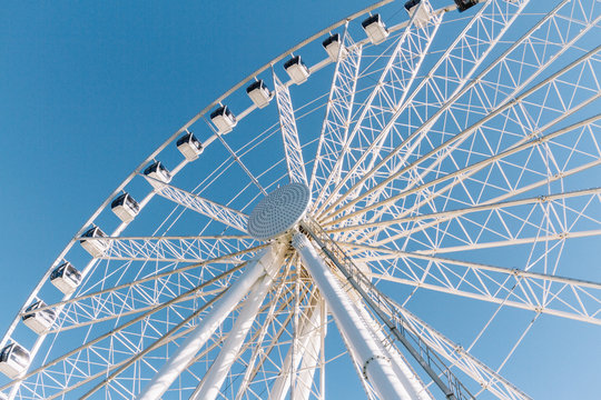 white ferris wheel during carnival