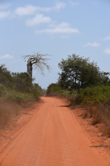 Quiçama, or Kissama, National Park