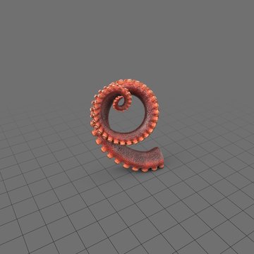 Octopus tentacle in a spiral