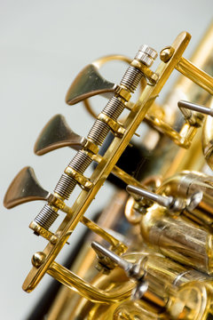 Tenorhorn
