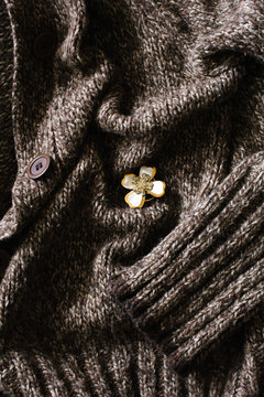 Four-leaf clover brooch on woolen garment