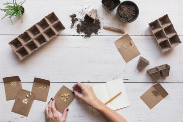 Planting organic seeds