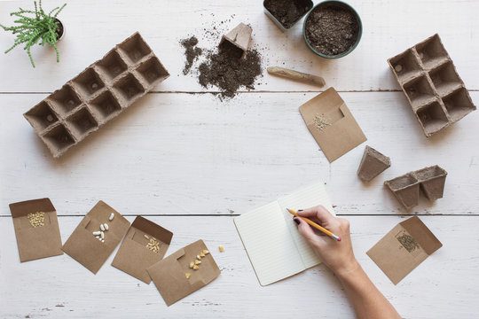 Planning an organic garden