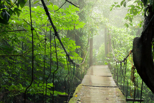 Old suspension bridge in rainforest Tenorio national park Costa Rica