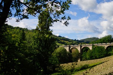 Fototapeta na wymiar Railway bridge in the nature (Urbino, Italy)