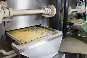 industrial production of pastaon automated food factory