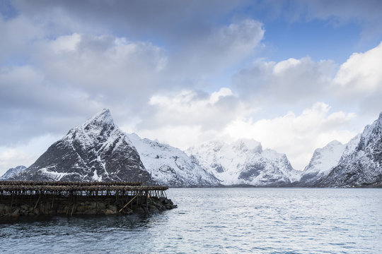 Stockfish (Cod) drying on wooden racks in Norway
