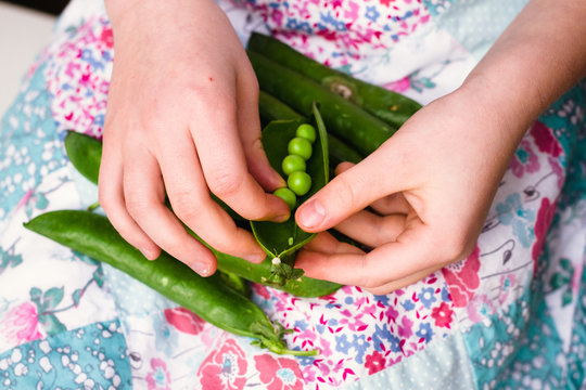 A little girl shelling peas