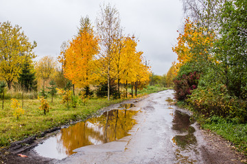 Obraz premium Осенняя погода на окраине города 