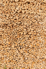 Abstract wood face cut texture pattern