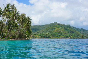 French Polynesia Huahine island coastal landscape with coconut palm trees seen from the lagoon near Faie, south Pacific ocean, Oceania