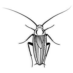 Cockroach vector design vector animal illustration for t-shirt. Sketch tattoo design.