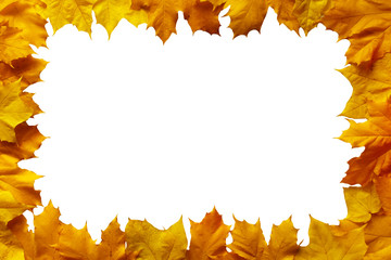 frame of autumn leaves