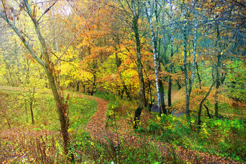 Park in Moscow during the fall of leaves. Bright colors of nature. Autumn 2017