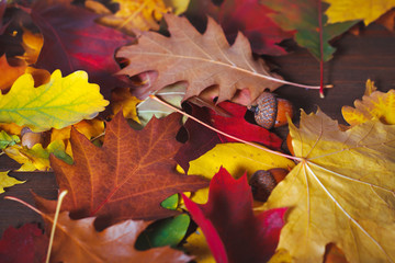 Colorful autumn leaves on wooden boards. Horizontal top view.