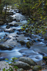 Beautiful colorful flowing water reflecting fall leaves and blue sky nature forest background