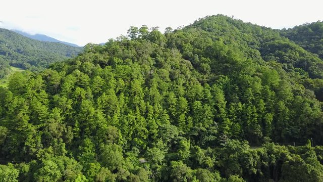 Aerial shot with a drone of a tropical rain forest in Thailand 

