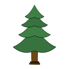 pine tree icon image vector illustration design 