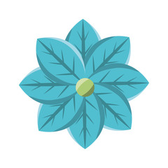 beautiful flowers design