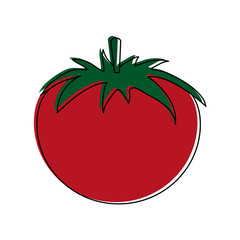 tomato whole fruit icon image vector illustration design 