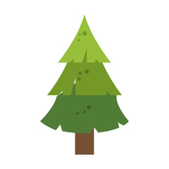 pine tree icon image vector illustration design 