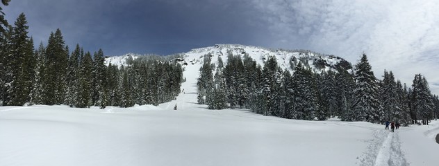 Snow Pano