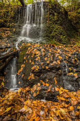 Waterfall over lush green foliage and golden leaves in Autumn, portrait