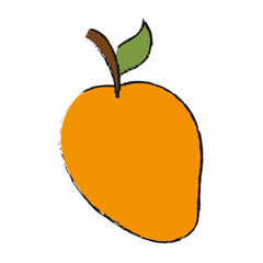 Mango delicious fruit icon vector illustration graphic design