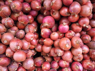 Shallots