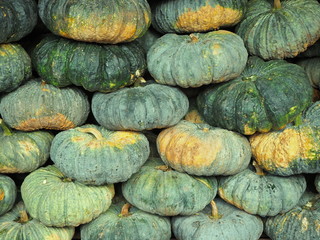 pumpkin