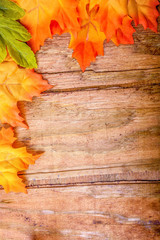 Naklejka na ściany i meble Colorful autumn leaves over wooden background, fall background border with copy space.