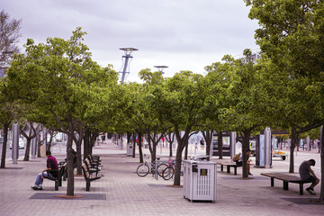 Sydney Olympic Park Railway Station public courtyard with trees and bicycle parks and people sitting on benches. City square in Australia. - obrazy, fototapety, plakaty