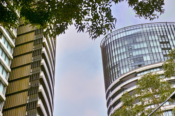 Tall Apartment Buildings at Olympic Park, Sydney, Australia