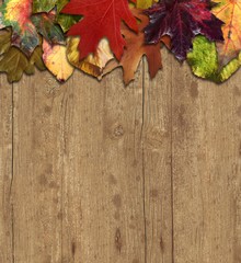 Naklejka na ściany i meble Herbst Hintergrund