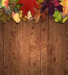 Naklejka na ściany i meble Herbst Hintergrund