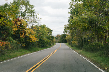 Obraz premium A countryside road with autumn foliage