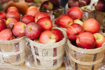 Freshly picked ripe red apples in baskets