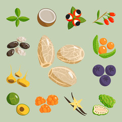 Vegetarian food healthy vegetable and fruits restaurant dishes cartoon berry vector.