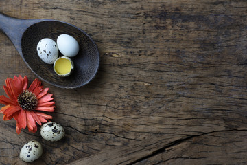 studio shot of eggs on a wooden background.