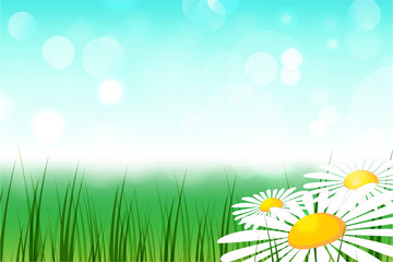 Fototapeta na wymiar Happy Spring Season Background with Three Daisy Flowers. Summer scene with chamomiles and green grass meadow. Vector Illustration.