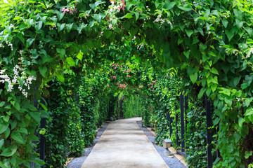 Obraz premium Beautiful footpath in the garden.