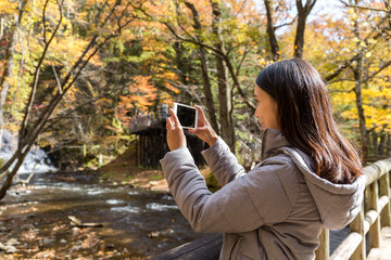 Woman taking photo with cellphone in autumn forest