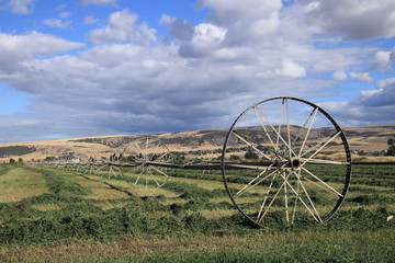 Wheel Irrigation Below the Foothills of Southeastern Idaho